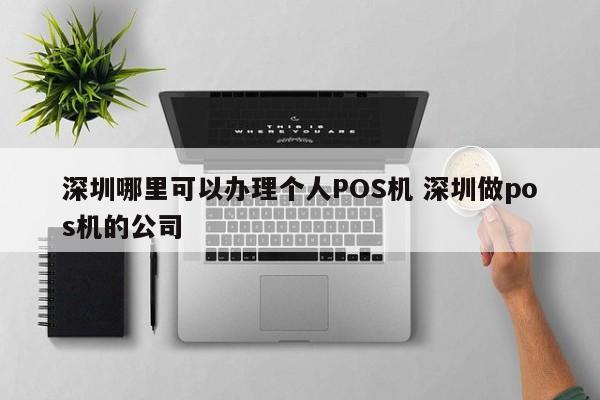 邵阳县哪里可以办理个人POS机 深圳做pos机的公司