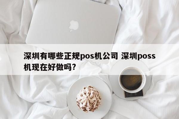 松滋有哪些正规pos机公司 深圳poss机现在好做吗?