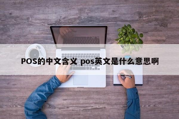 惠东POS的中文含义 pos英文是什么意思啊