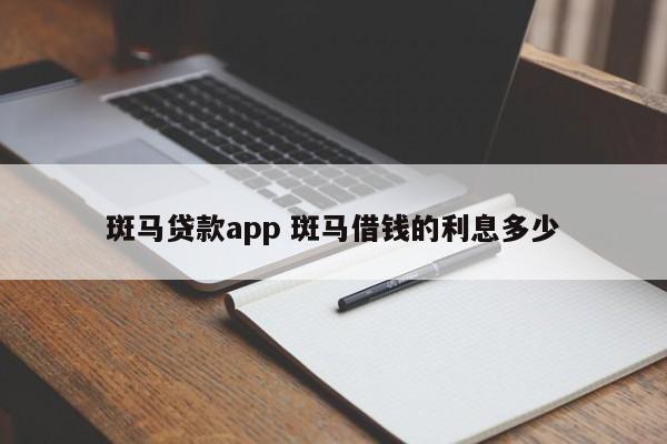 深圳斑马贷款app 斑马借钱的利息多少