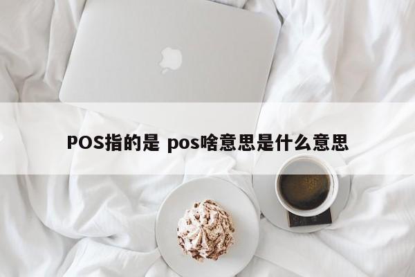 枝江POS指的是 pos啥意思是什么意思