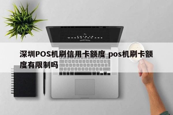 青州POS机刷信用卡额度 pos机刷卡额度有限制吗