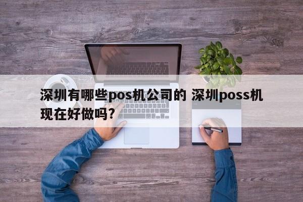 昭通有哪些pos机公司的 深圳poss机现在好做吗?