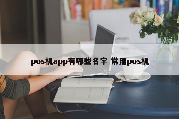 忻州pos机app有哪些名字 常用pos机