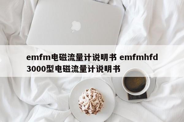 漯河emfm电磁流量计说明书 emfmhfd3000型电磁流量计说明书