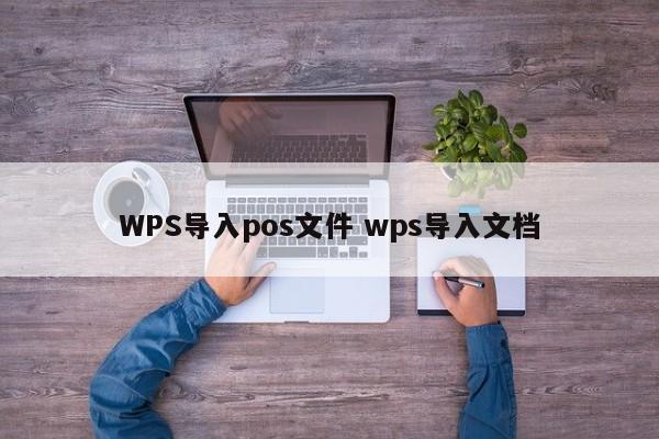 漳州WPS导入pos文件 wps导入文档