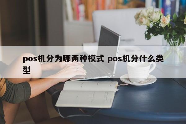 涿州pos机分为哪两种模式 pos机分什么类型