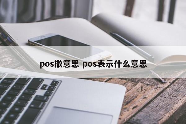 萍乡pos撒意思 pos表示什么意思