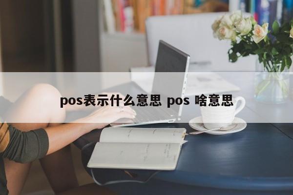 射阳pos表示什么意思 pos 啥意思