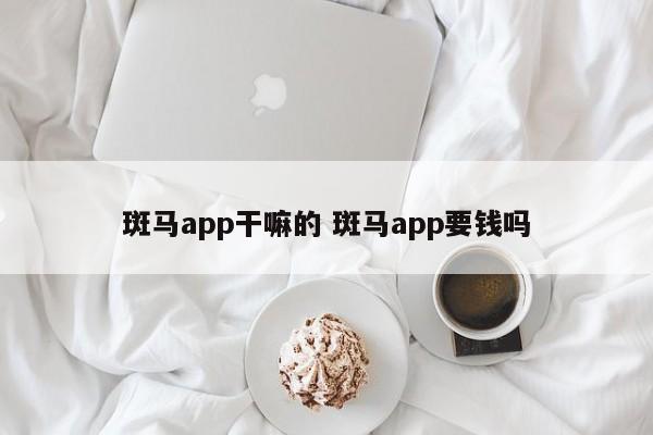 晋江斑马app干嘛的 斑马app要钱吗