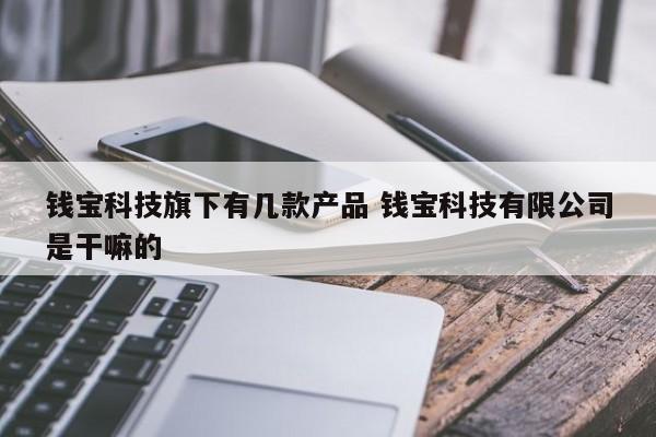 沧县钱宝科技旗下有几款产品 钱宝科技有限公司是干嘛的