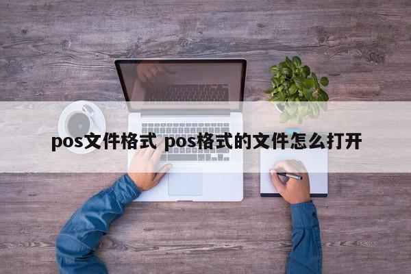 临邑pos文件格式 pos格式的文件怎么打开