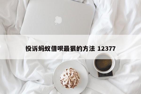 邵阳县投诉蚂蚁借呗最狠的方法 12377
