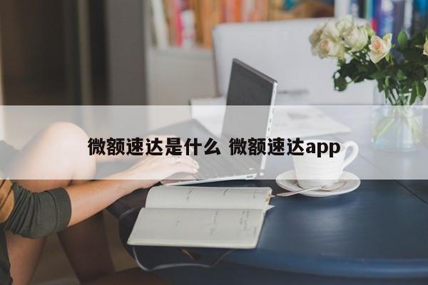 深圳微额速达是什么 微额速达app