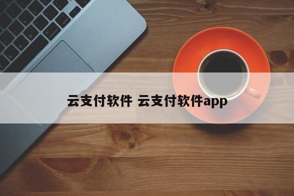 漳州云支付软件 云支付软件app