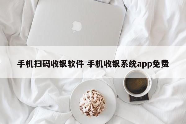 邵东手机扫码收银软件 手机收银系统app免费