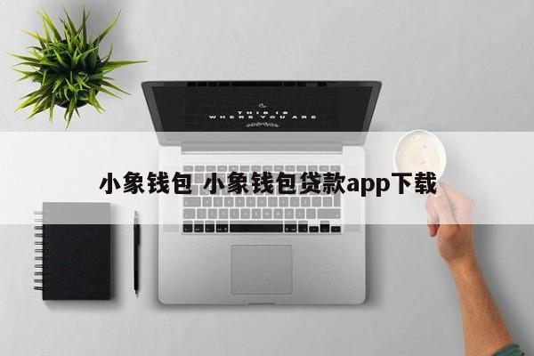 祁阳小象钱包 小象钱包贷款app下载