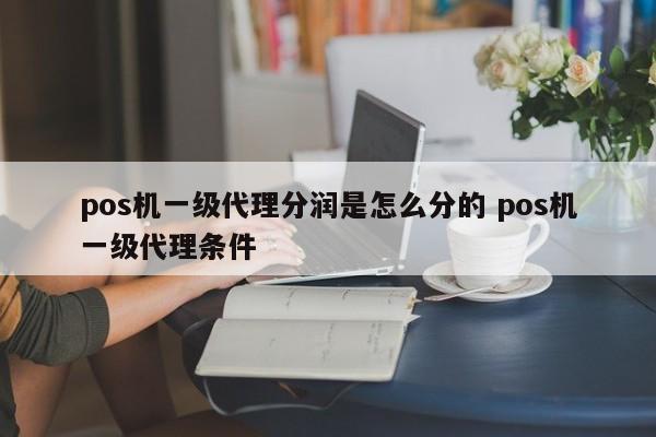 广州pos机一级代理分润是怎么分的 pos机一级代理条件