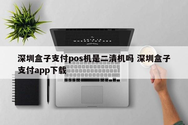 日照盒子支付pos机是二清机吗 深圳盒子支付app下载