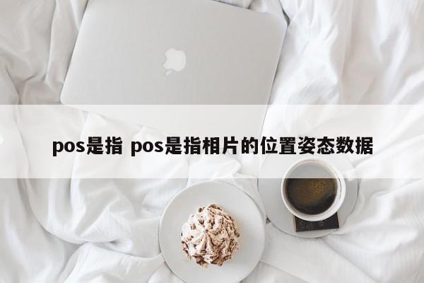 昌吉pos是指 pos是指相片的位置姿态数据