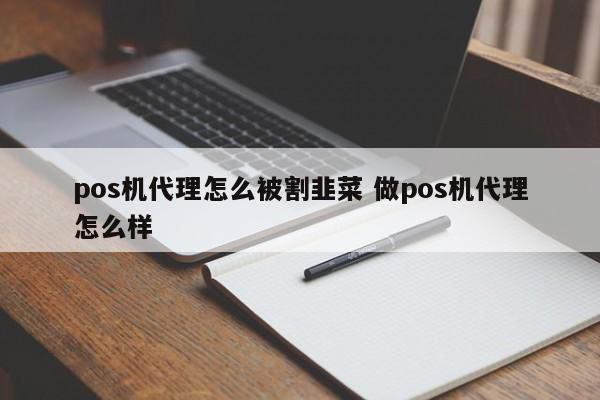 苍南pos机代理怎么被割韭菜 做pos机代理怎么样