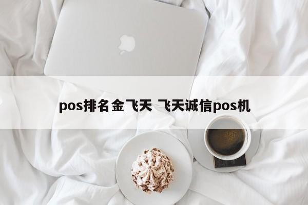 贺州pos排名金飞天 飞天诚信pos机