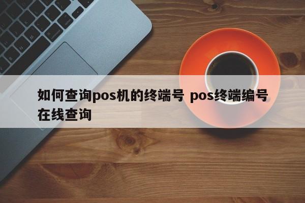 清徐如何查询pos机的终端号 pos终端编号在线查询