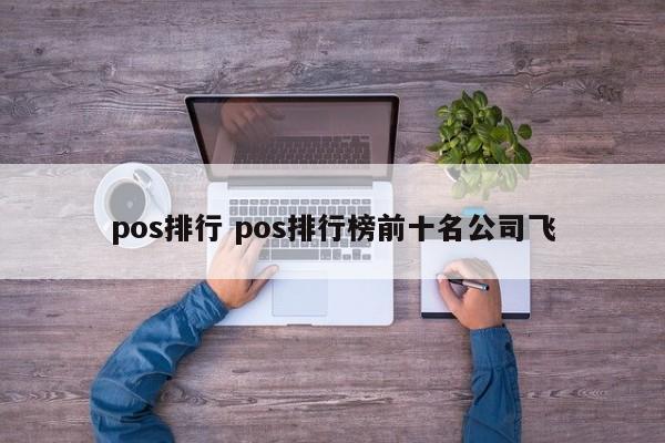 昭通pos排行 pos排行榜前十名公司飞