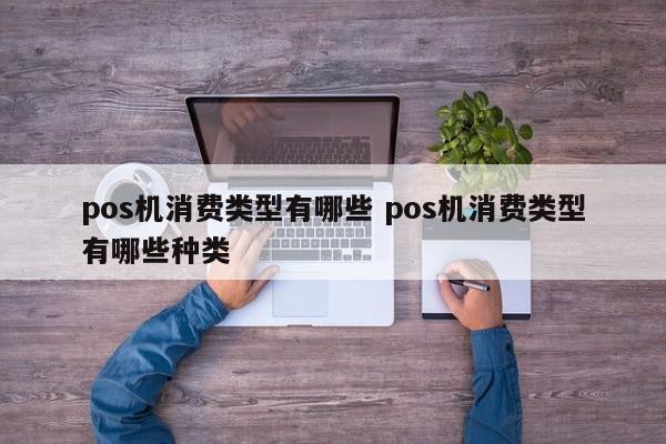 岑溪pos机消费类型有哪些 pos机消费类型有哪些种类