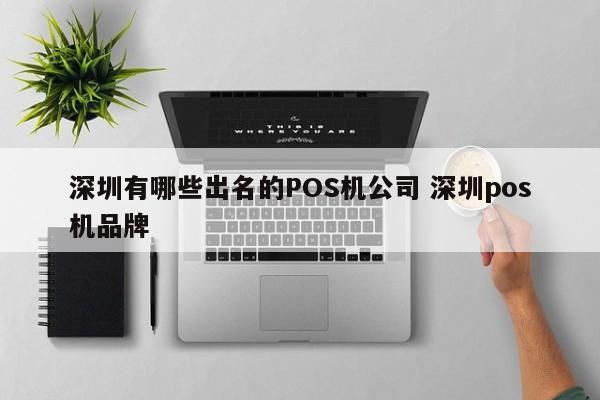 承德有哪些出名的POS机公司 深圳pos机品牌