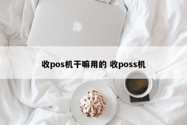 拉萨收pos机干嘛用的 收poss机